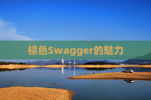 棕色Swagger的魅力