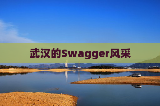 武汉的Swagger风采